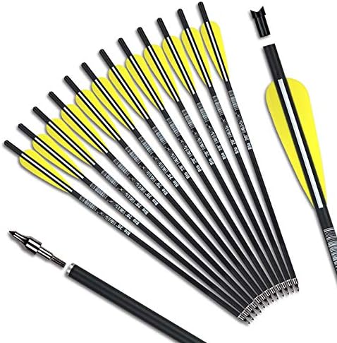 Crossbow Bolts – 16"/18"/20" Bio Crossbow Arrows with Moon Nocks & Removable Tips (12-Pack)