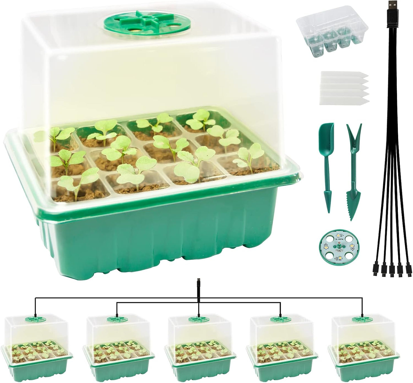 Seed Starter Tray Kit – 5-Pack Grow Trays with LED Light, Adjustable Humidity & 4" High Cover for Indoor Gardening & Germination