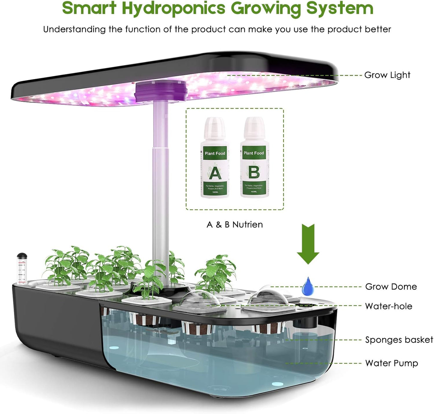 Large Hydroponic Growing System – 12-Pod Indoor Herb Garden Kit with Grow Lights, Quiet Water Pump & Adjustable Height (Up to 20”)