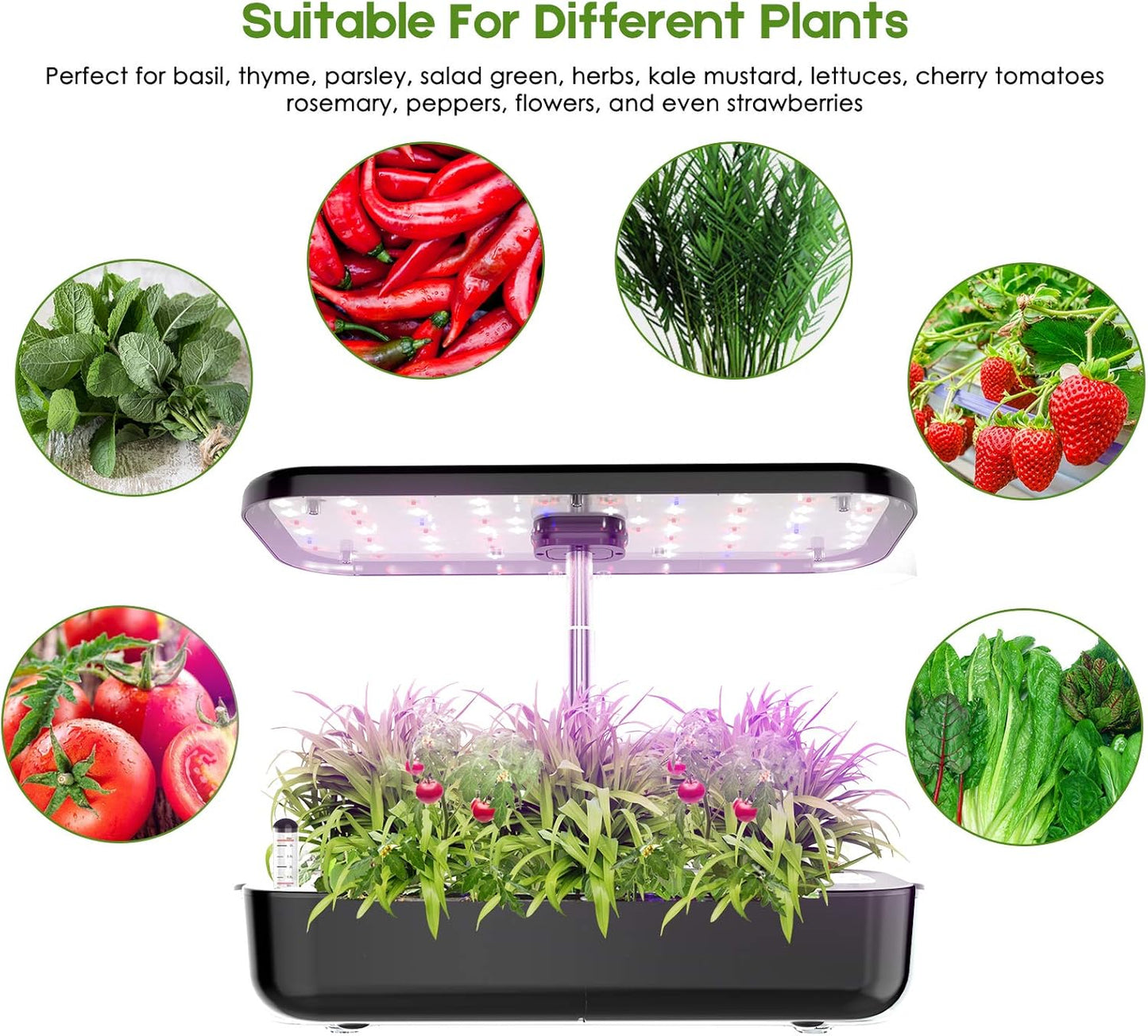 Large Hydroponic Growing System – 12-Pod Indoor Herb Garden Kit with Grow Lights, Quiet Water Pump & Adjustable Height (Up to 20”)